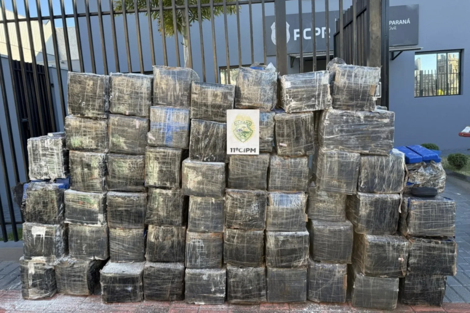 Apreensão de Maconha Aumenta 310% no Paraná e Causa Prejuízo Milionário ao Crime