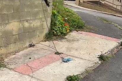 Cerol de pipas corta linhas de energia e põe vidas em risco no Paraná