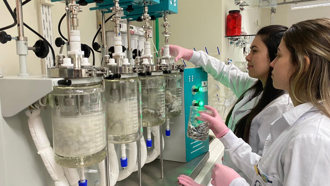 Pesquisa no Paraná transforma resíduos de tilápia em colágeno