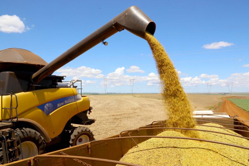 Vazio Sanitário da Soja Entra em Vigor em Todo o Paraná a Partir de Sábado, 21 de junho