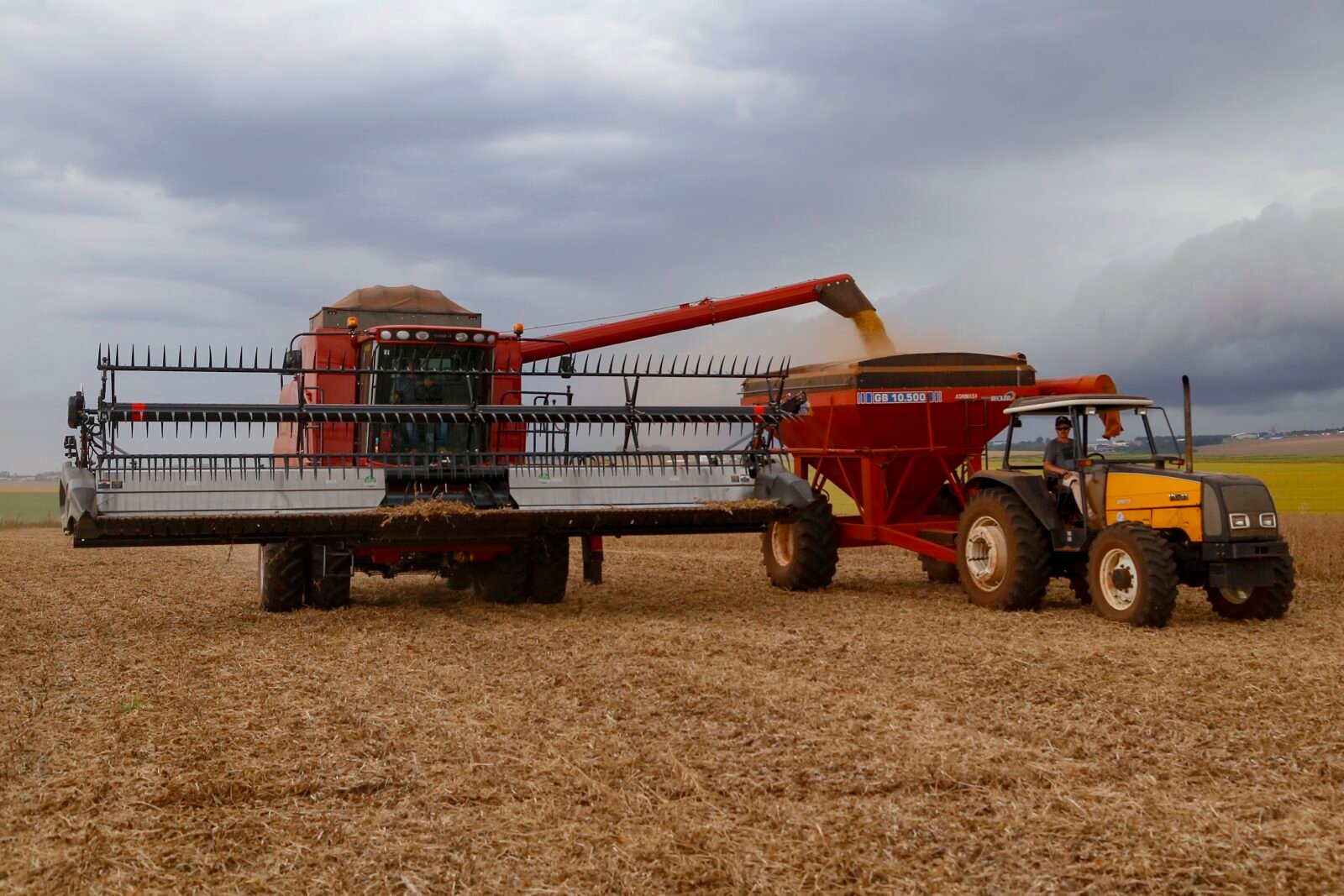 Supermercado do mundo: Paraná exporta mais alimentos que países como Japão, Portugal e Coreia do Sul