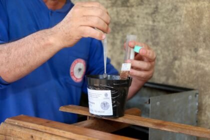 Com uso de novas tecnologias no combate ao Aedes aegypti, Maringá reduz casos de dengue em 80%