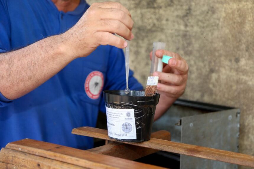 Com uso de novas tecnologias no combate ao Aedes aegypti, Maringá reduz casos de dengue em 80%