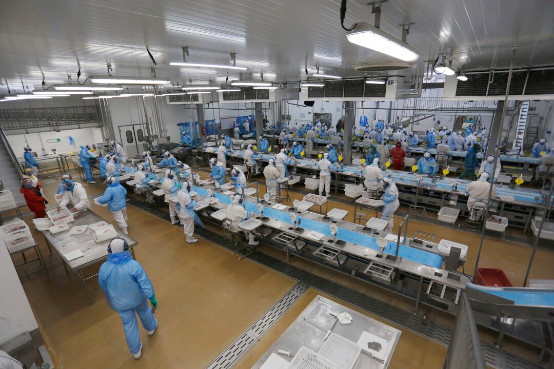 Mais de 22 mil vagas de emprego disponíveis no Paraná 4 Mais de 22 mil vagas de emprego disponíveis no Paraná