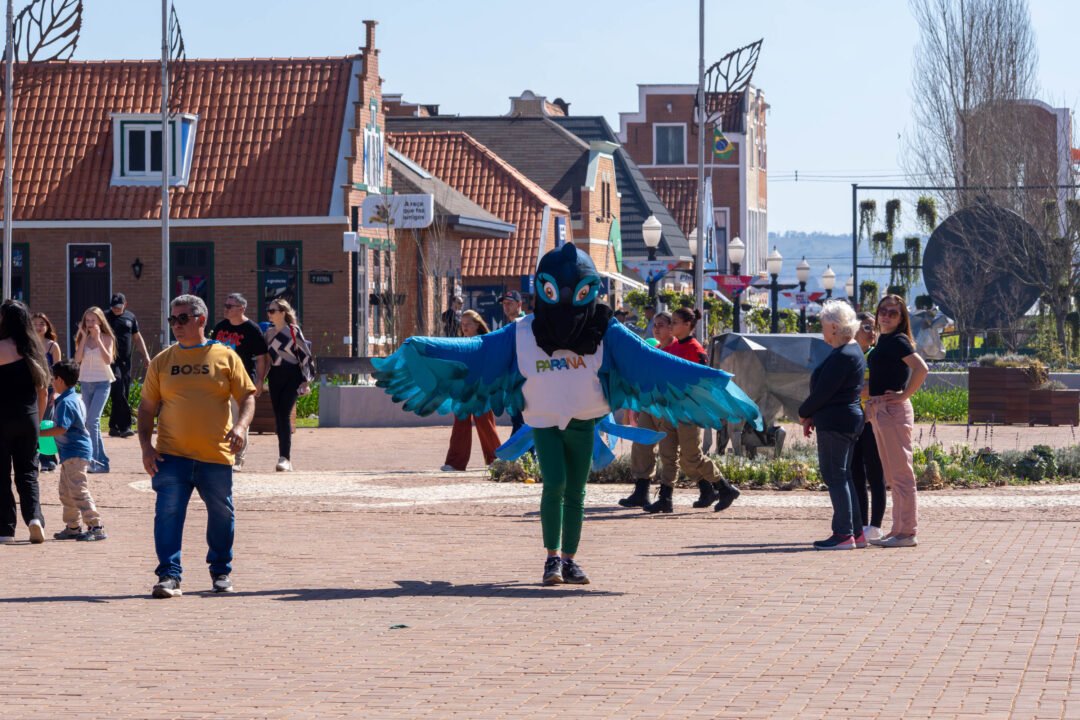 Segunda maior copa de balonismo do Brasil movimenta turismo em Castro e região