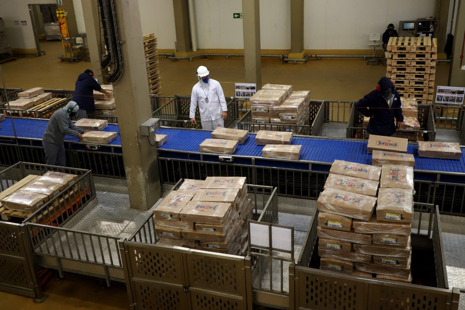 Supermercado do mundo: Paraná exporta mais alimentos que países como Japão, Portugal e Coreia do Sul