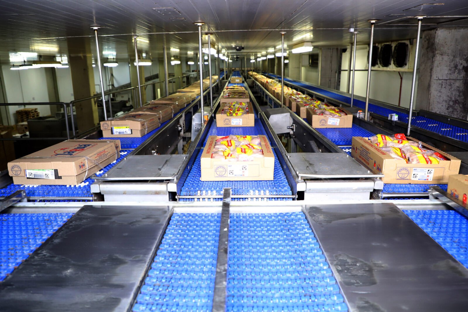 Supermercado do mundo: Paraná exporta mais alimentos que países como Japão, Portugal e Coreia do Sul