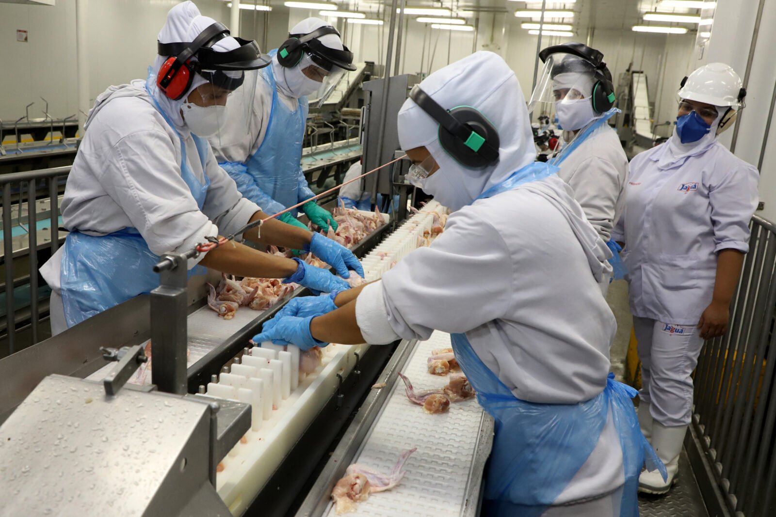 Supermercado do mundo: Paraná exporta mais alimentos que países como Japão, Portugal e Coreia do Sul