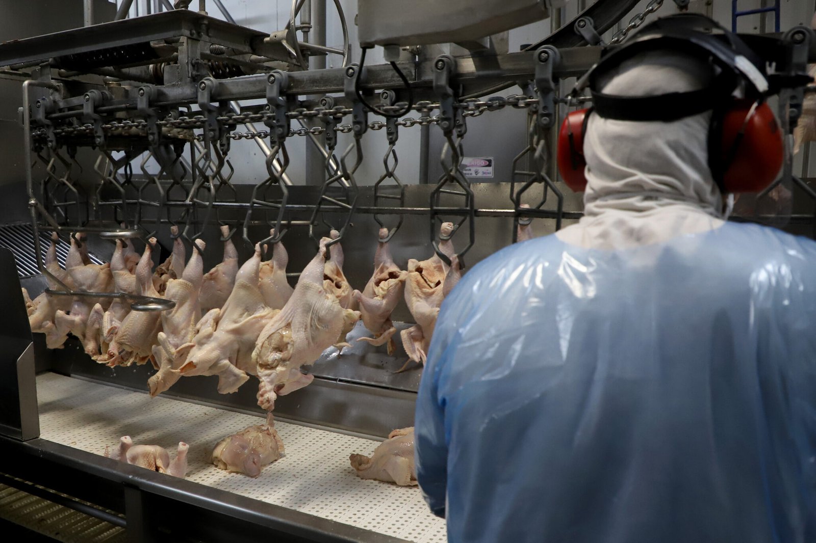 Supermercado do mundo: Paraná exporta mais alimentos que países como Japão, Portugal e Coreia do Sul