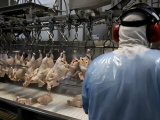 Supermercado do mundo: Paraná exporta mais alimentos que países como Japão, Portugal e Coreia do Sul