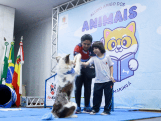 O projeto ‘aluno Amigo dos Animais’ tem o objetivo de promover a conscientização sobre os cuidados com os pets e guarda responsável (Credito: Arquivo/PMM)