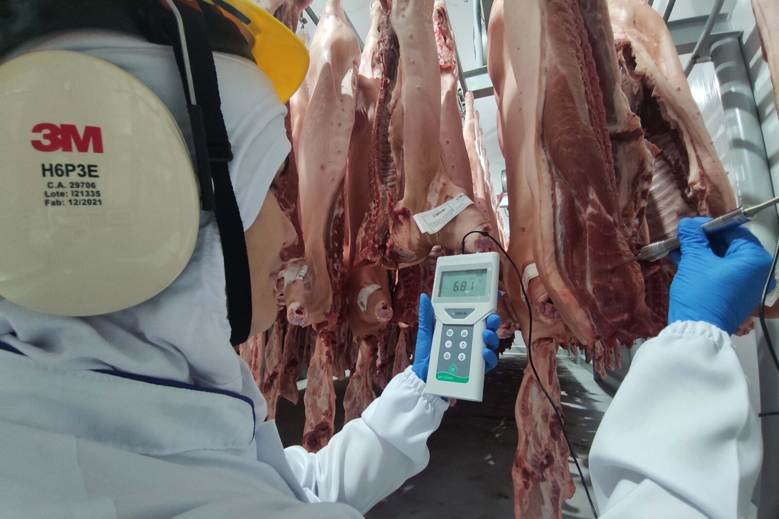 Supermercado do mundo: Paraná exporta mais alimentos que países como Japão, Portugal e Coreia do Sul