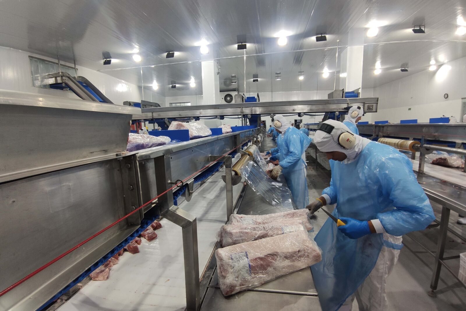 Supermercado do mundo: Paraná exporta mais alimentos que países como Japão, Portugal e Coreia do Sul