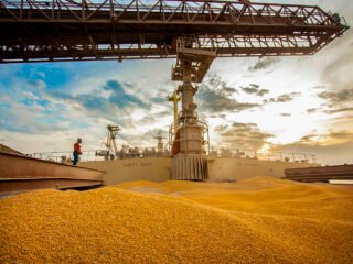 Com Forte Crescimento em 2024, Paraná Consolida a Segunda Posição nas Exportações de Milho do País