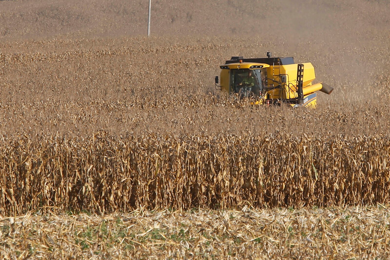 Supermercado do mundo: Paraná exporta mais alimentos que países como Japão, Portugal e Coreia do Sul