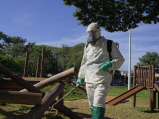 prevenção à dengue