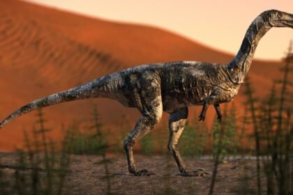 Além da oficina, o Geoparque Caiuá promoverá exposição com uma réplica do Vespersaurus e de produtos turísticos de Cruzeiro do Oeste