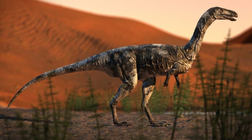 Além da oficina, o Geoparque Caiuá promoverá exposição com uma réplica do Vespersaurus e de produtos turísticos de Cruzeiro do Oeste