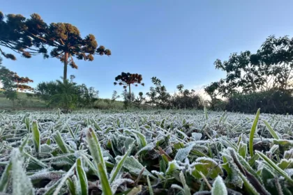 Onda de frio chegando! Paraná enfrenta temperaturas geladas na próxima semana!
