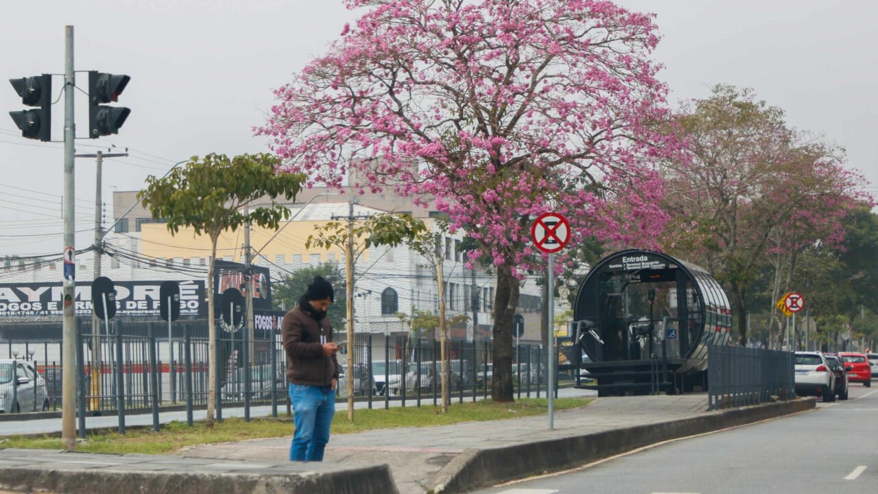 Paraná registra primeira temperatura negativa de 2025 nesta sexta-feira Foto: Gabriel Rosa/AEN