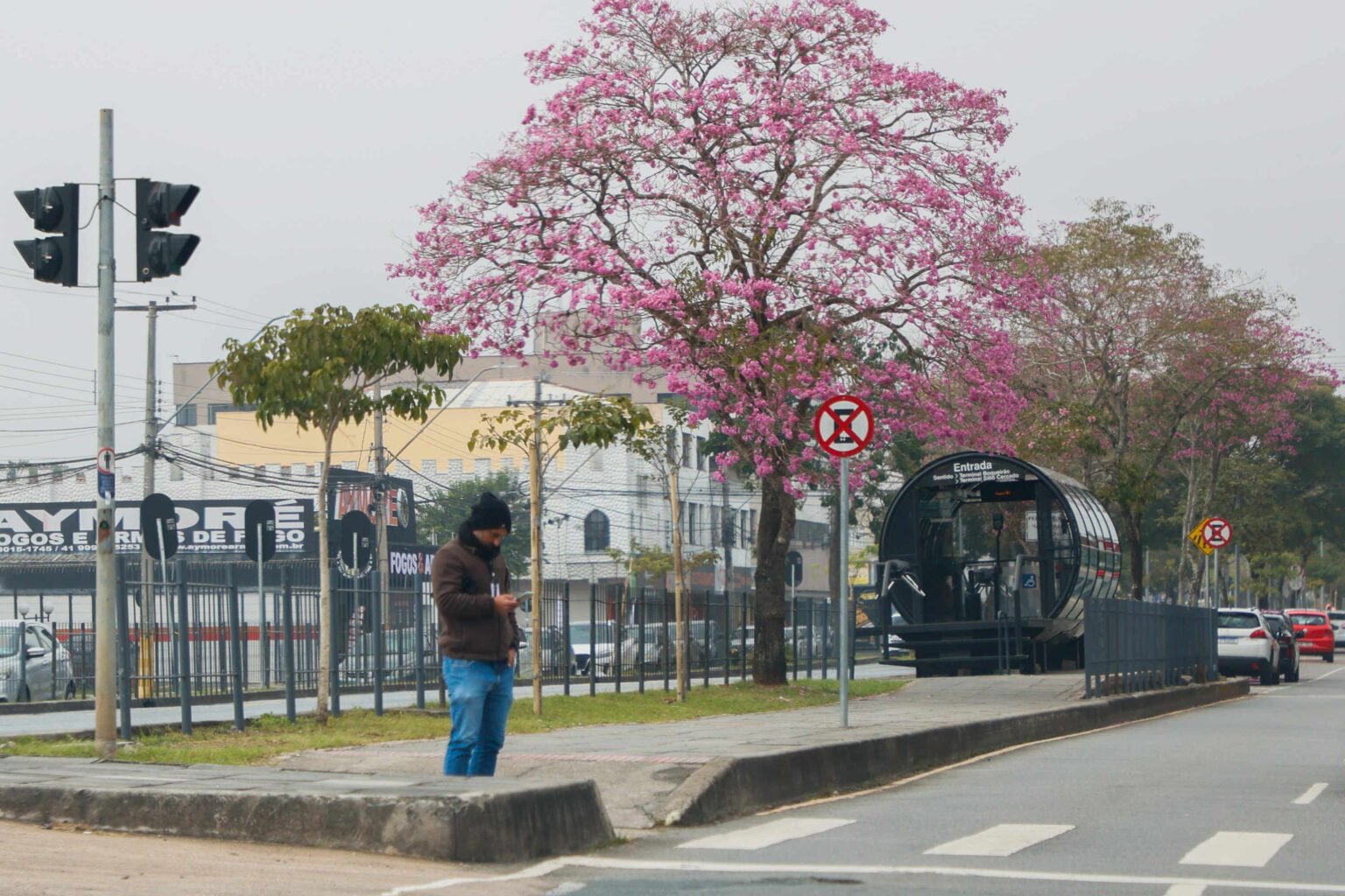 Paraná registra primeira temperatura negativa de 2025 nesta sexta-feira Foto: Gabriel Rosa/AEN