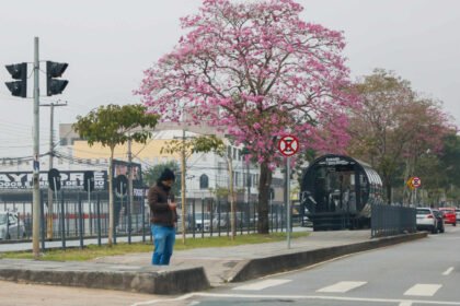 Paraná registra primeira temperatura negativa de 2025 nesta sexta-feira Foto: Gabriel Rosa/AEN