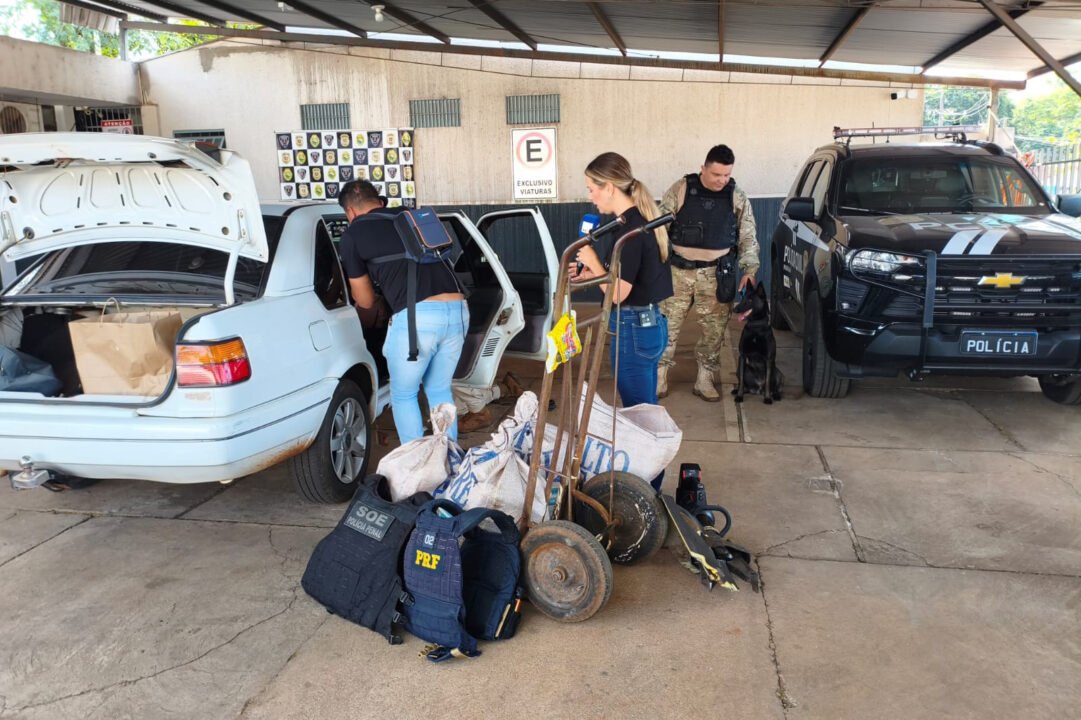 Cadela da Polícia Penal do Paraná encontra 81 kg de maconha em ação com a PRF