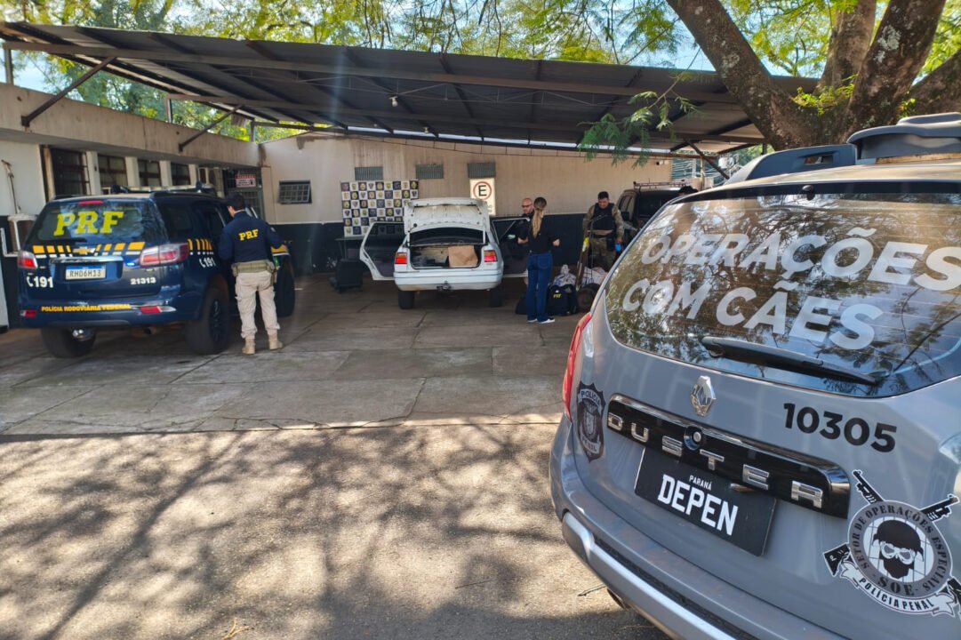 Cadela da Polícia Penal do Paraná encontra 81 kg de maconha em ação com a PRF