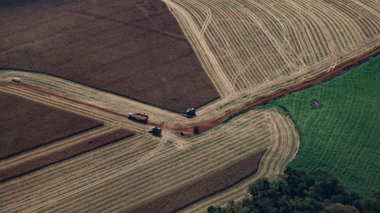 crescimento econômico