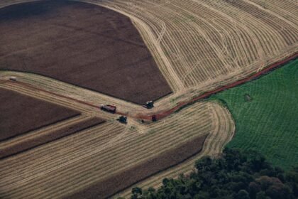 crescimento econômico