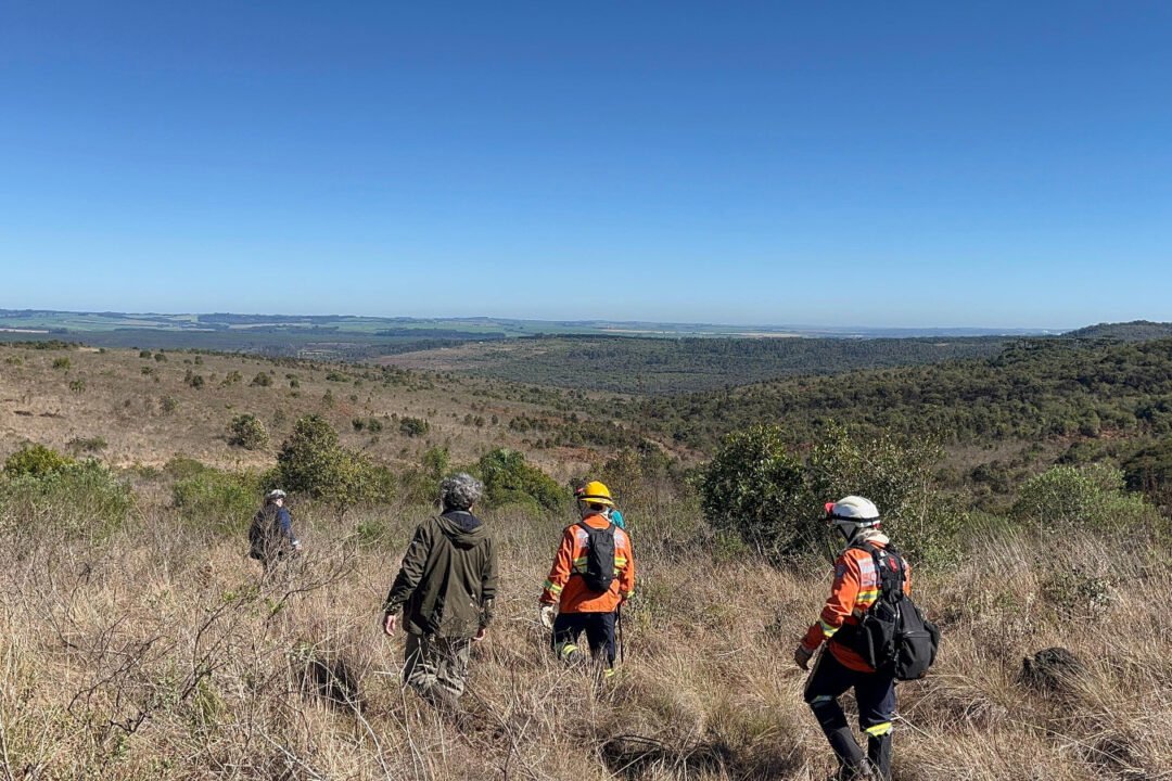 Incêndios florestais caem 50% em agosto, mas tempo seco em setembro preocupa