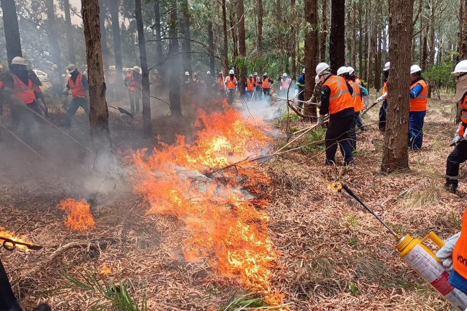 Incêndios florestais caem 50% em agosto, mas tempo seco em setembro preocupa